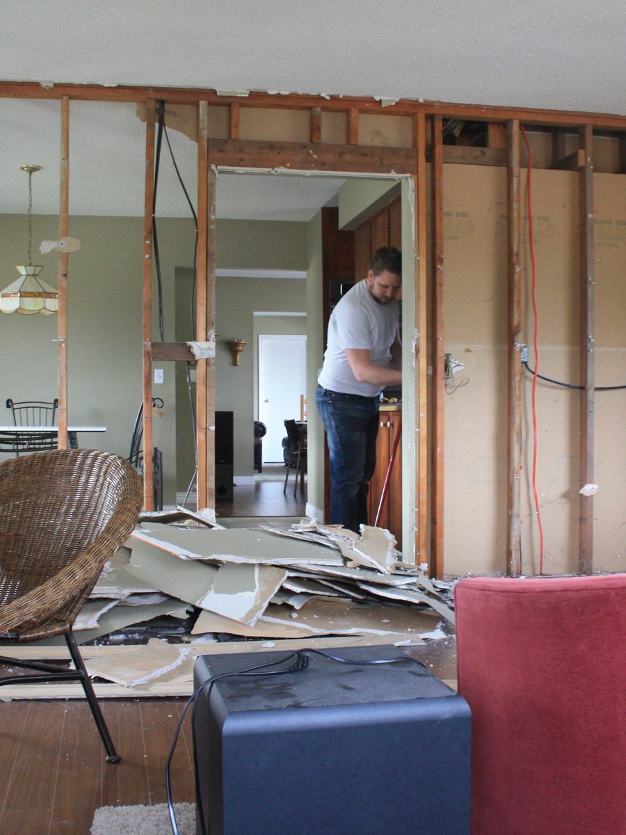 Renovating the house down to the studs